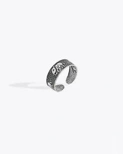 Anillo Dambo
