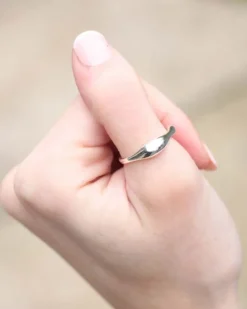 Anillo Kayip