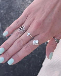 Anillo Kinau