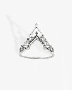 Anillo Vinh