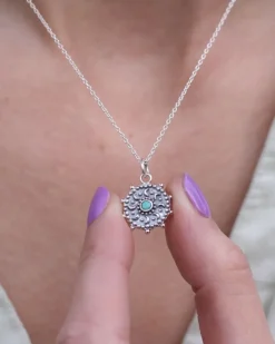 Collar Otari