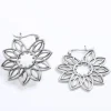 Pendientes Naledi