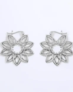 Pendientes Naledi