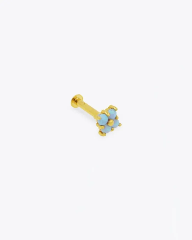 Piercing Tok Gold