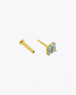 Piercing Tok Gold