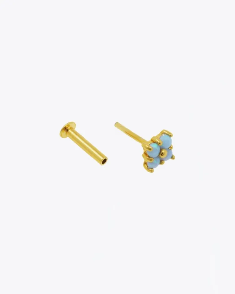 Piercing Tok Gold